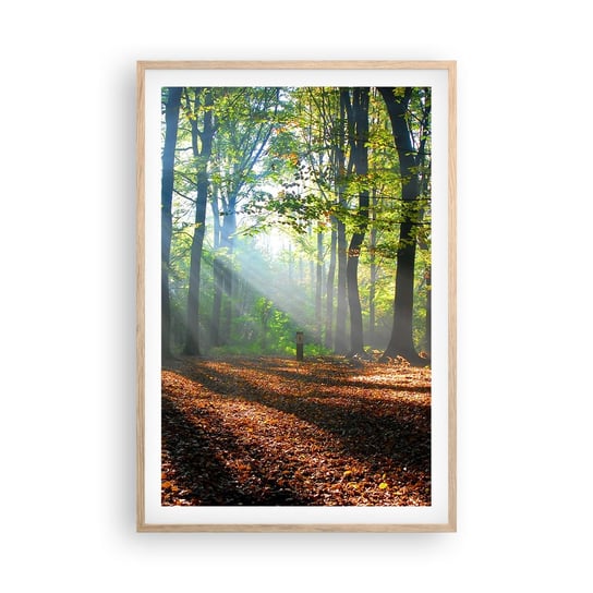 Obraz - Plakat - Blaski i cienie - 61x91cm - Las Drzewa Natura - Foto Plakaty na ścianę w ramie jasny dąb - Plakat do Salonu Sypialni ARTTOR ARTTOR