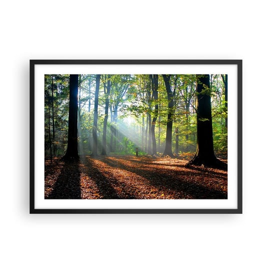 Obraz - Plakat - Blaski i cienie - 70x50cm - Las Drzewa Natura - Nowoczesny modny obraz Plakat czarna rama ARTTOR ARTTOR