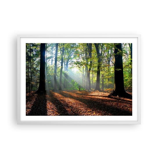 Obraz - Plakat - Blaski i cienie - 70x50cm - Las Drzewa Natura - Nowoczesny modny obraz Plakat rama biała ARTTOR ARTTOR