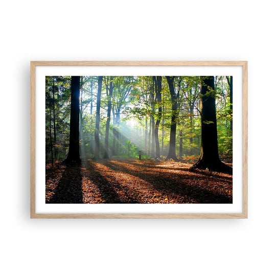 Obraz - Plakat - Blaski i cienie - 70x50cm - Las Drzewa Natura - Nowoczesny modny obraz Plakat rama jasny dąb ARTTOR ARTTOR