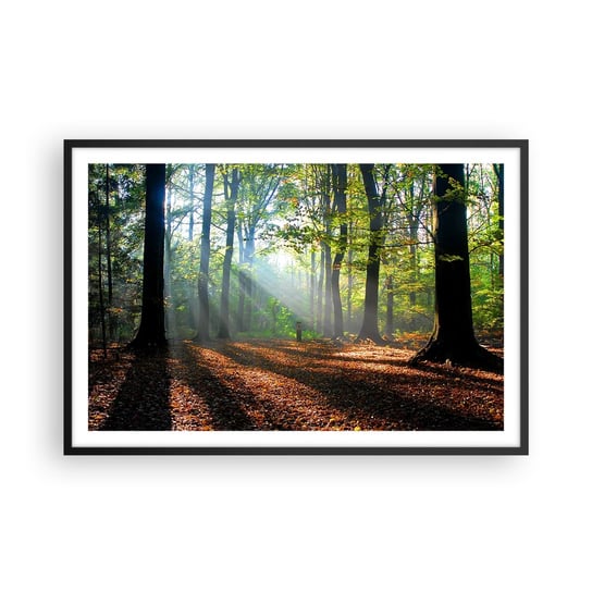Obraz - Plakat - Blaski i cienie - 91x61cm - Las Drzewa Natura - Foto Plakaty na ścianę w czarnej ramie - Plakat do Salonu Sypialni ARTTOR ARTTOR