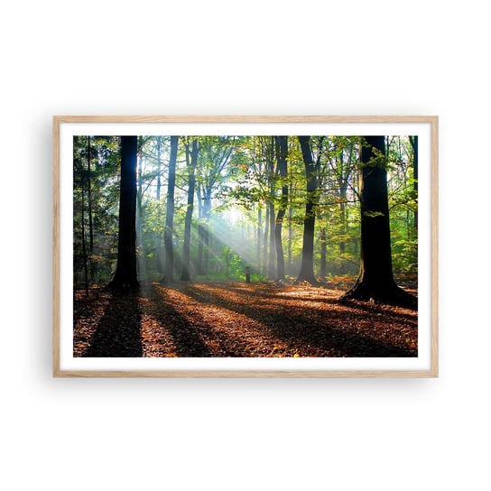 Obraz - Plakat - Blaski i cienie - 91x61cm - Las Drzewa Natura - Foto Plakaty na ścianę w ramie jasny dąb - Plakat do Salonu Sypialni ARTTOR ARTTOR