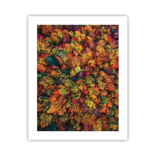 Obraz - Plakat - Bukiet jesiennych drzew - 40x50cm - Krajobraz Las Drzewa - Foto Plakaty bez ramy do Salonu Sypialni ARTTOR ARTTOR