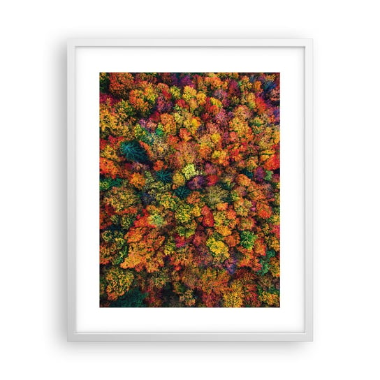 Obraz - Plakat - Bukiet jesiennych drzew - 40x50cm - Krajobraz Las Drzewa - Foto Plakaty w ramie koloru białego do Salonu Sypialni ARTTOR ARTTOR