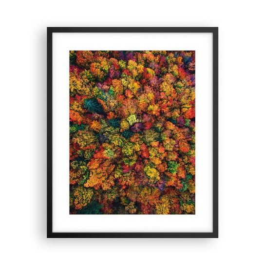 Obraz - Plakat - Bukiet jesiennych drzew - 40x50cm - Krajobraz Las Drzewa - Foto Plakaty w ramie koloru czarnego do Salonu Sypialni ARTTOR ARTTOR