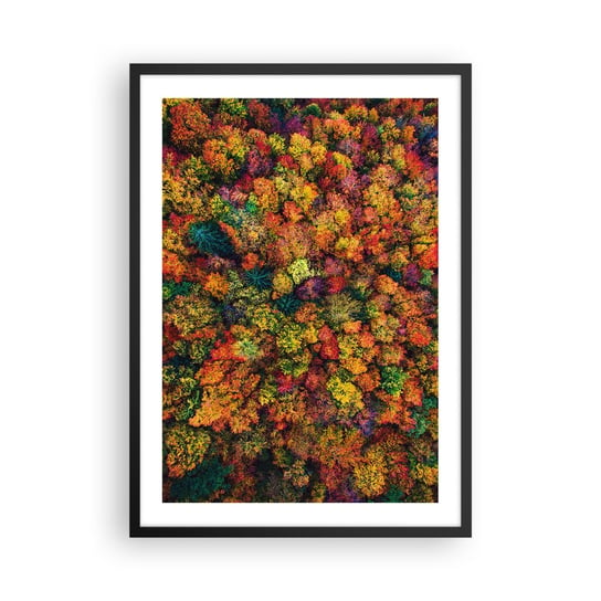 Obraz - Plakat - Bukiet jesiennych drzew - 50x70cm - Krajobraz Las Drzewa - Nowoczesny modny obraz Plakat czarna rama ARTTOR ARTTOR