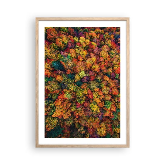 Obraz - Plakat - Bukiet jesiennych drzew - 50x70cm - Krajobraz Las Drzewa - Nowoczesny modny obraz Plakat rama jasny dąb ARTTOR ARTTOR