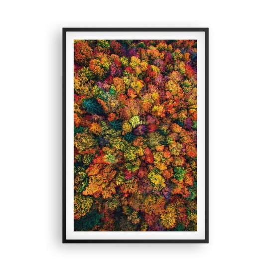 Obraz - Plakat - Bukiet jesiennych drzew - 61x91cm - Krajobraz Las Drzewa - Foto Plakaty na ścianę w czarnej ramie - Plakat do Salonu Sypialni ARTTOR ARTTOR