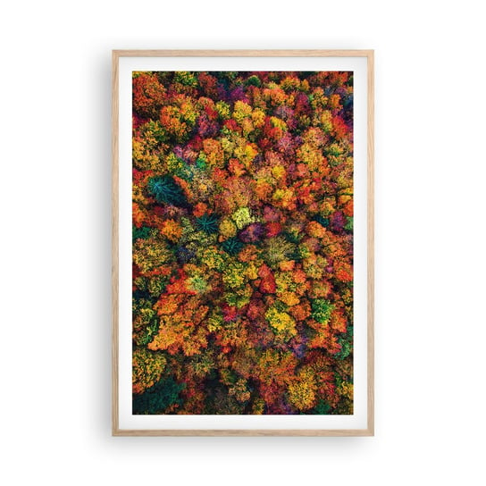 Obraz - Plakat - Bukiet jesiennych drzew - 61x91cm - Krajobraz Las Drzewa - Foto Plakaty na ścianę w ramie jasny dąb - Plakat do Salonu Sypialni ARTTOR ARTTOR