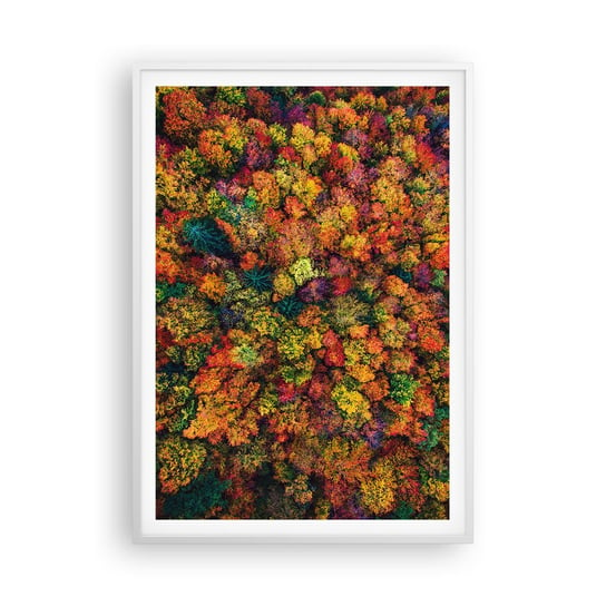 Obraz - Plakat - Bukiet jesiennych drzew - 70x100cm - Krajobraz Las Drzewa - Foto Plakaty w ramie koloru białego do Salonu Sypialni ARTTOR ARTTOR