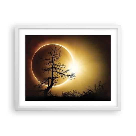 Obraz - Plakat - Całkowite zaćmienie - 50x40cm - Zaćmienie Słońca Drzewo Krajobraz - Foto Plakaty w ramie koloru białego do Salonu Sypialni ARTTOR ARTTOR
