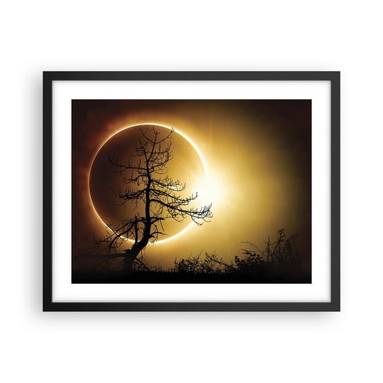 Obraz - Plakat - Całkowite zaćmienie - 50x40cm - Zaćmienie Słońca Drzewo Krajobraz - Foto Plakaty w ramie koloru czarnego do Salonu Sypialni ARTTOR ARTTOR