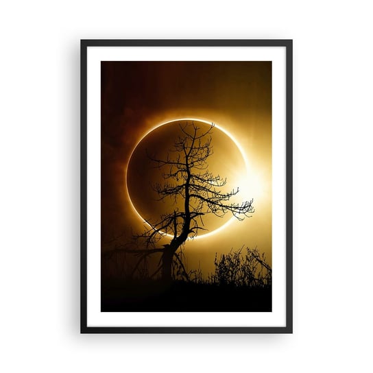 Obraz - Plakat - Całkowite zaćmienie - 50x70cm - Zaćmienie Słońca Drzewo Krajobraz - Nowoczesny modny obraz Plakat czarna rama ARTTOR ARTTOR