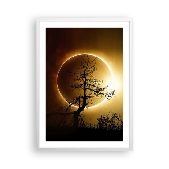 Obraz - Plakat - Całkowite zaćmienie - 50x70cm - Zaćmienie Słońca Drzewo Krajobraz - Nowoczesny modny obraz Plakat rama biała ARTTOR ARTTOR