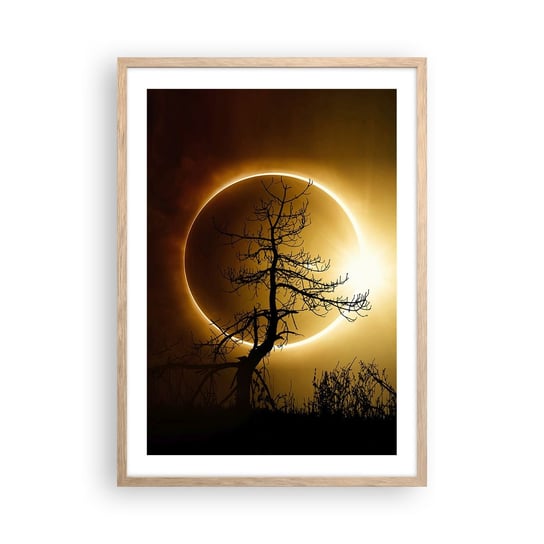 Obraz - Plakat - Całkowite zaćmienie - 50x70cm - Zaćmienie Słońca Drzewo Krajobraz - Nowoczesny modny obraz Plakat rama jasny dąb ARTTOR ARTTOR
