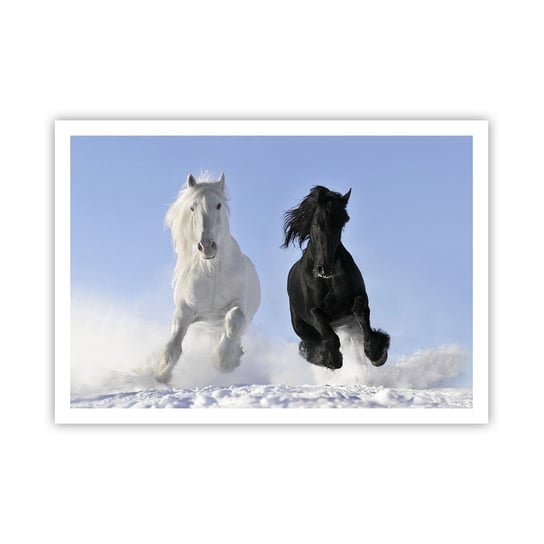 Obraz - Plakat - Czarno-biały galop - 100x70cm - Zwierzęta Koń Zima - Foto Plakaty bez ramy na ścianę do Salonu Sypialni ARTTOR ARTTOR