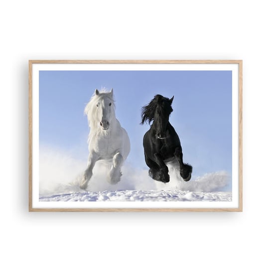 Obraz - Plakat - Czarno-biały galop - 100x70cm - Zwierzęta Koń Zima - Foto Plakaty w ramie koloru jasny dąb do Salonu Sypialni ARTTOR ARTTOR