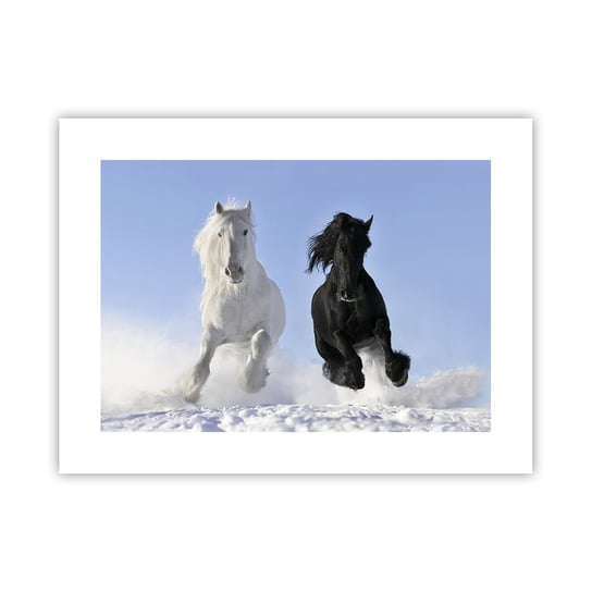 Obraz - Plakat - Czarno-biały galop - 40x30cm - Zwierzęta Koń Zima - Foto Plakaty na ścianę bez ramy - Plakat do Salonu Sypialni ARTTOR ARTTOR