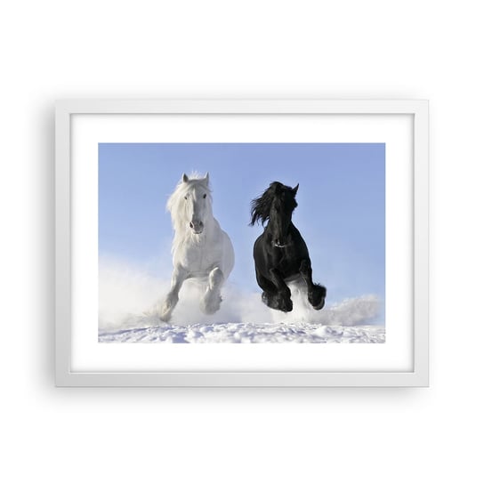 Obraz - Plakat - Czarno-biały galop - 40x30cm - Zwierzęta Koń Zima - Foto Plakaty na ścianę w ramie białej - Plakat do Salonu Sypialni ARTTOR ARTTOR