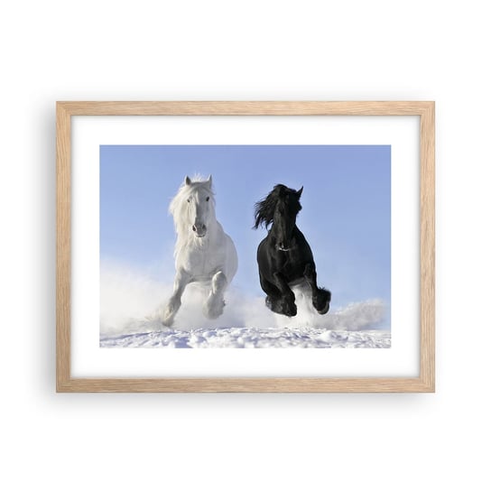Obraz - Plakat - Czarno-biały galop - 40x30cm - Zwierzęta Koń Zima - Foto Plakaty na ścianę w ramie jasny dąb - Plakat do Salonu Sypialni ARTTOR ARTTOR