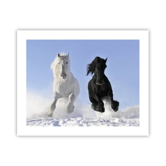 Obraz - Plakat - Czarno-biały galop - 50x40cm - Zwierzęta Koń Zima - Foto Plakaty bez ramy do Salonu Sypialni ARTTOR ARTTOR