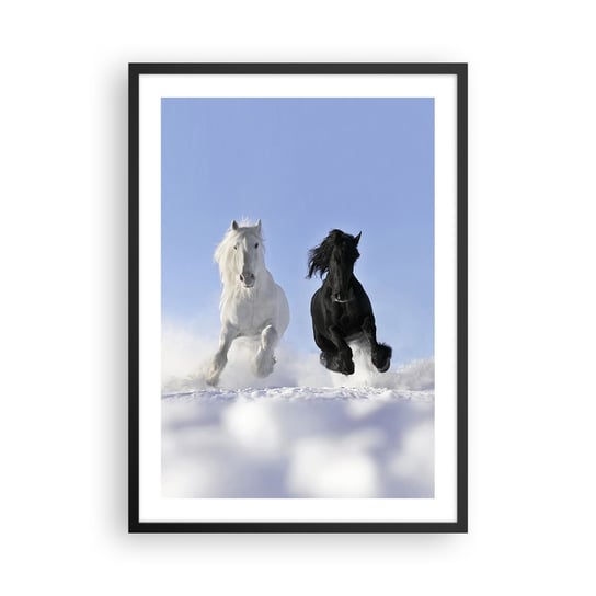 Obraz - Plakat - Czarno-biały galop - 50x70cm - Zwierzęta Koń Zima - Nowoczesny modny obraz Plakat czarna rama ARTTOR ARTTOR
