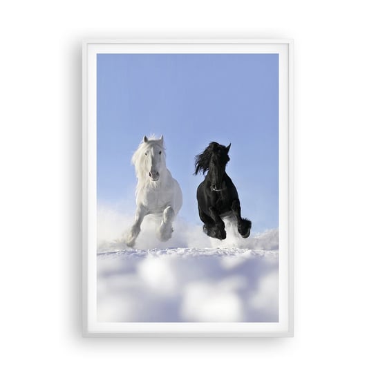 Obraz - Plakat - Czarno-biały galop - 70x100cm - Zwierzęta Koń Zima - Foto Plakaty w ramie koloru białego do Salonu Sypialni ARTTOR ARTTOR