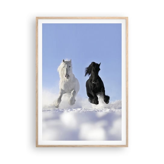 Obraz - Plakat - Czarno-biały galop - 70x100cm - Zwierzęta Koń Zima - Foto Plakaty w ramie koloru jasny dąb do Salonu Sypialni ARTTOR ARTTOR
