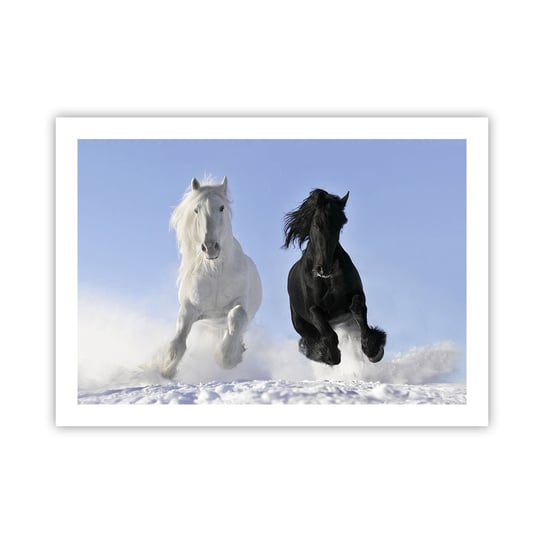 Obraz - Plakat - Czarno-biały galop - 70x50cm - Zwierzęta Koń Zima - Nowoczesny modny obraz Plakat bez ramy do Salonu Sypialni ARTTOR ARTTOR