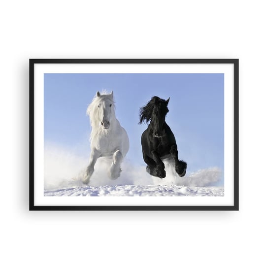Obraz - Plakat - Czarno-biały galop - 70x50cm - Zwierzęta Koń Zima - Nowoczesny modny obraz Plakat czarna rama ARTTOR ARTTOR