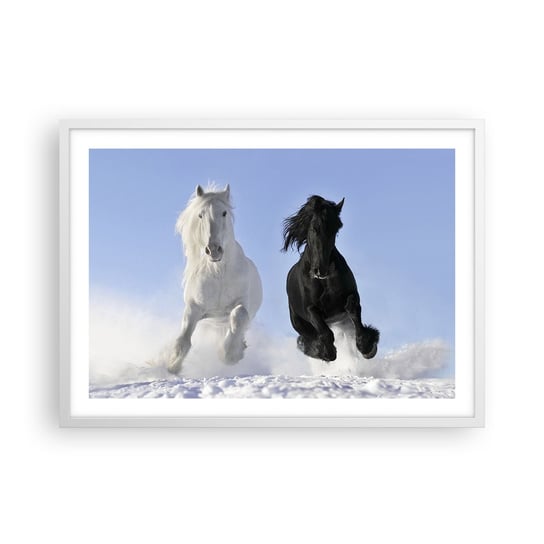 Obraz - Plakat - Czarno-biały galop - 70x50cm - Zwierzęta Koń Zima - Nowoczesny modny obraz Plakat rama biała ARTTOR ARTTOR