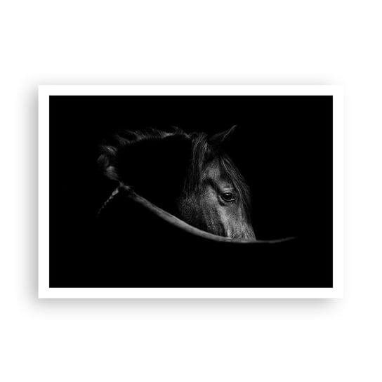 Obraz - Plakat - Czarny książę - 100x70cm - Koń Zwierzę Artystyczny - Foto Plakaty bez ramy na ścianę do Salonu Sypialni ARTTOR ARTTOR