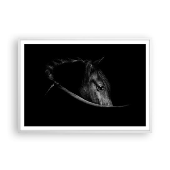 Obraz - Plakat - Czarny książę - 100x70cm - Koń Zwierzę Artystyczny - Foto Plakaty w ramie koloru białego do Salonu Sypialni ARTTOR ARTTOR