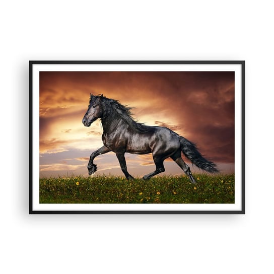 Obraz - Plakat - Czarny książę - 100x70cm - Zwierzęta Koń Arabski Krajobraz - Foto Plakaty w ramie koloru czarnego do Salonu Sypialni ARTTOR ARTTOR