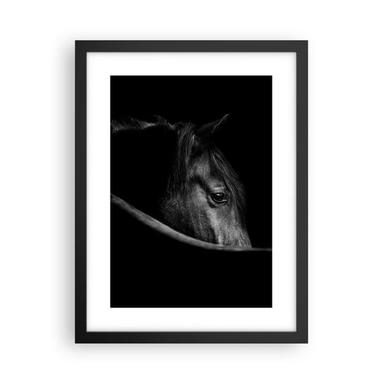 Obraz - Plakat - Czarny książę - 30x40cm - Koń Zwierzę Artystyczny - Foto Plakaty na ścianę w czarnej ramie - Plakat do Salonu Sypialni ARTTOR ARTTOR
