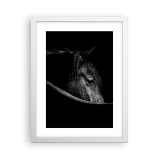 Obraz - Plakat - Czarny książę - 30x40cm - Koń Zwierzę Artystyczny - Foto Plakaty na ścianę w ramie białej - Plakat do Salonu Sypialni ARTTOR ARTTOR