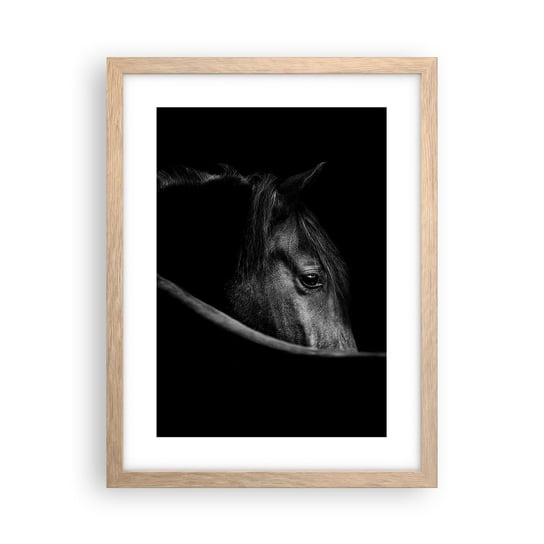 Obraz - Plakat - Czarny książę - 30x40cm - Koń Zwierzę Artystyczny - Foto Plakaty na ścianę w ramie jasny dąb - Plakat do Salonu Sypialni ARTTOR ARTTOR