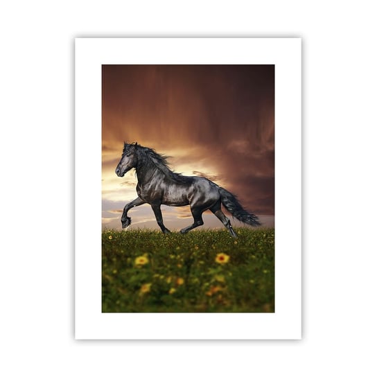 Obraz - Plakat - Czarny książę - 30x40cm - Zwierzęta Koń Arabski Krajobraz - Foto Plakaty na ścianę bez ramy - Plakat do Salonu Sypialni ARTTOR ARTTOR