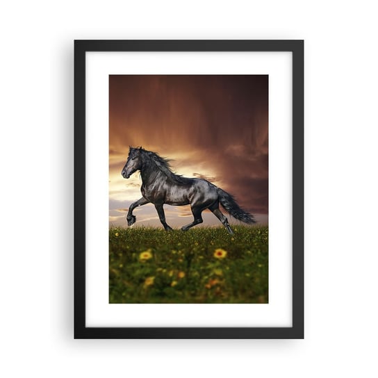 Obraz - Plakat - Czarny książę - 30x40cm - Zwierzęta Koń Arabski Krajobraz - Foto Plakaty na ścianę w czarnej ramie - Plakat do Salonu Sypialni ARTTOR ARTTOR