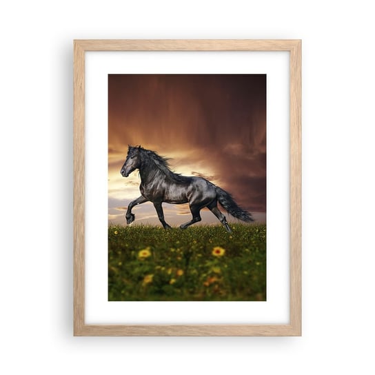 Obraz - Plakat - Czarny książę - 30x40cm - Zwierzęta Koń Arabski Krajobraz - Foto Plakaty na ścianę w ramie jasny dąb - Plakat do Salonu Sypialni ARTTOR ARTTOR