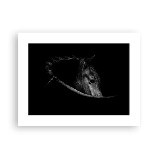 Obraz - Plakat - Czarny książę - 40x30cm - Koń Zwierzę Artystyczny - Foto Plakaty na ścianę bez ramy - Plakat do Salonu Sypialni ARTTOR ARTTOR