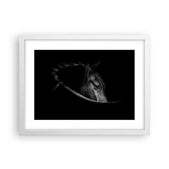 Obraz - Plakat - Czarny książę - 40x30cm - Koń Zwierzę Artystyczny - Foto Plakaty na ścianę w ramie białej - Plakat do Salonu Sypialni ARTTOR ARTTOR
