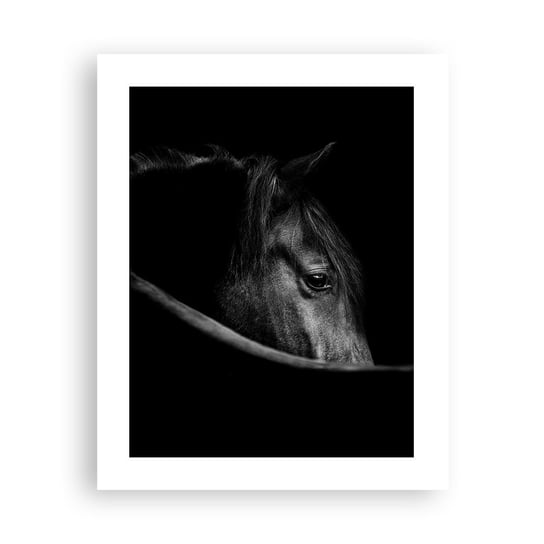 Obraz - Plakat - Czarny książę - 40x50cm - Koń Zwierzę Artystyczny - Foto Plakaty bez ramy do Salonu Sypialni ARTTOR ARTTOR