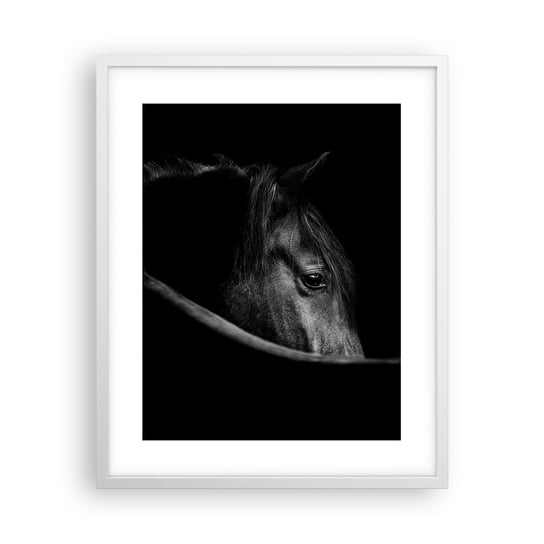 Obraz - Plakat - Czarny książę - 40x50cm - Koń Zwierzę Artystyczny - Foto Plakaty w ramie koloru białego do Salonu Sypialni ARTTOR ARTTOR