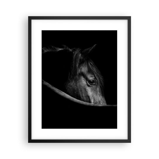 Obraz - Plakat - Czarny książę - 40x50cm - Koń Zwierzę Artystyczny - Foto Plakaty w ramie koloru czarnego do Salonu Sypialni ARTTOR ARTTOR