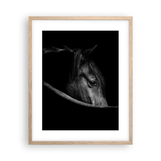 Obraz - Plakat - Czarny książę - 40x50cm - Koń Zwierzę Artystyczny - Foto Plakaty w ramie koloru jasny dąb do Salonu Sypialni ARTTOR ARTTOR