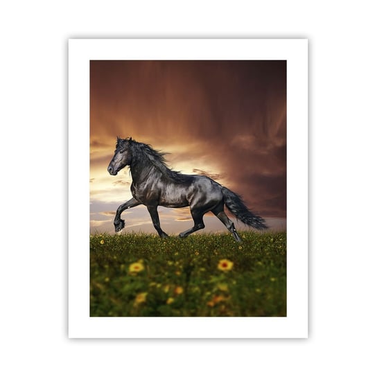 Obraz - Plakat - Czarny książę - 40x50cm - Zwierzęta Koń Arabski Krajobraz - Foto Plakaty bez ramy do Salonu Sypialni ARTTOR ARTTOR