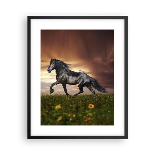 Obraz - Plakat - Czarny książę - 40x50cm - Zwierzęta Koń Arabski Krajobraz - Foto Plakaty w ramie koloru czarnego do Salonu Sypialni ARTTOR ARTTOR