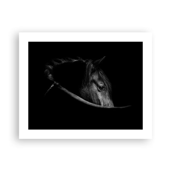 Obraz - Plakat - Czarny książę - 50x40cm - Koń Zwierzę Artystyczny - Foto Plakaty bez ramy do Salonu Sypialni ARTTOR ARTTOR