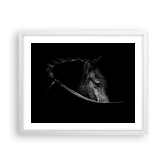 Obraz - Plakat - Czarny książę - 50x40cm - Koń Zwierzę Artystyczny - Foto Plakaty w ramie koloru białego do Salonu Sypialni ARTTOR ARTTOR